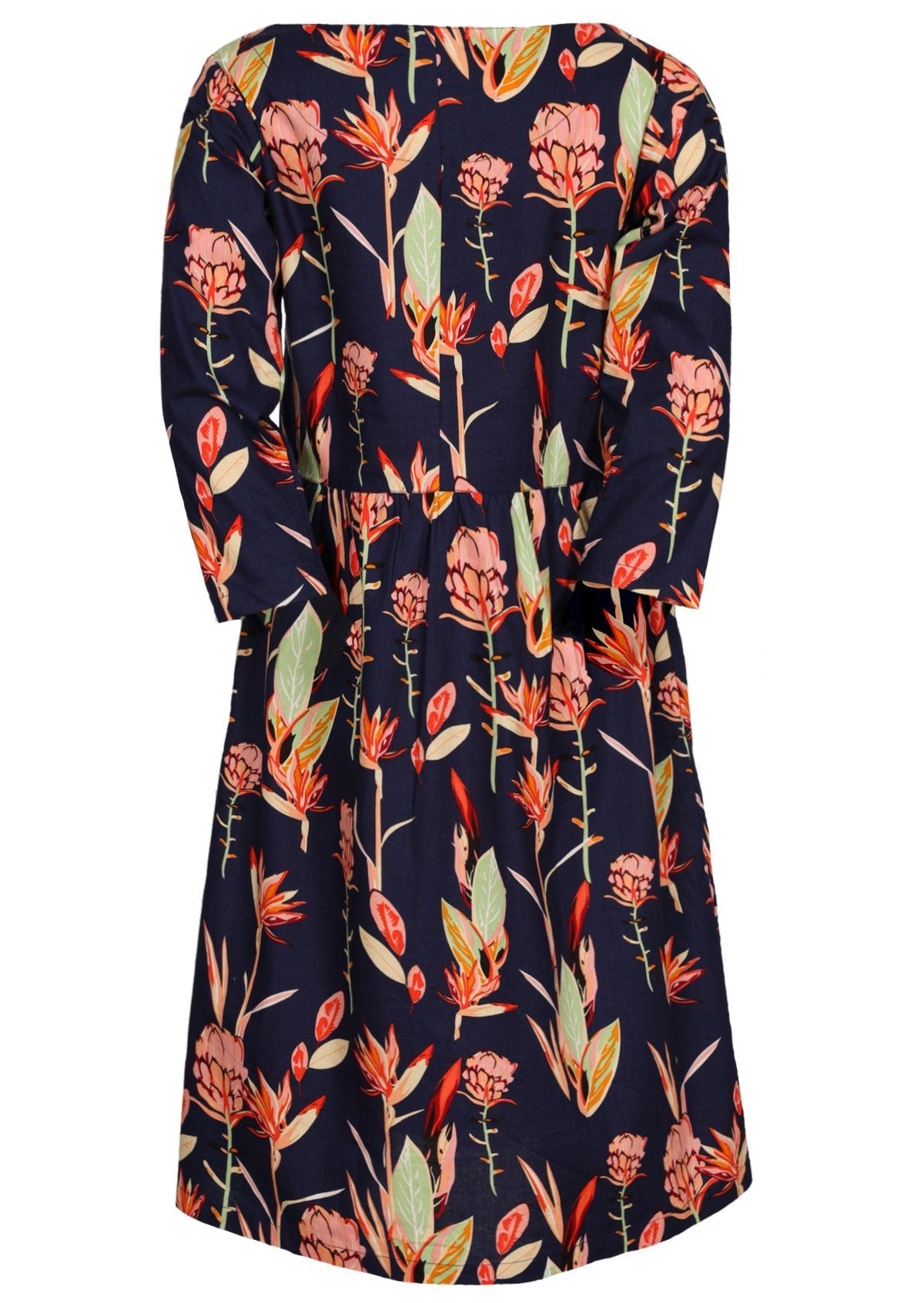 Back view of knee length cotton dress with gathers at waistband and 3/4 sleeves.